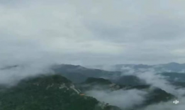 武当最新爆料,揭秘古老山门背后的神秘传说